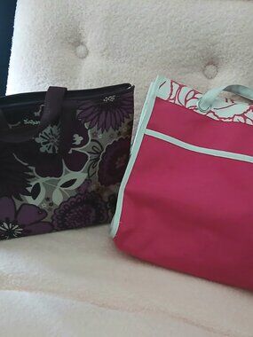 Pair of Quality "Grocery" Bags (1 Insulated) thirty-one & Clinique
